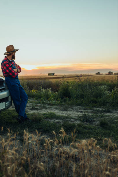 istock Farmer with straw hat oversees the harvest 1311470669
