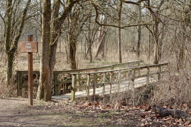 istock Old Wooden Footbridge in the Forest 1311470789