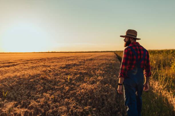 istock This farm is my pride and joy 1311471833