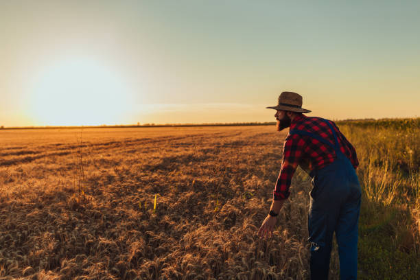 istock We all should take care of nature 1311471945