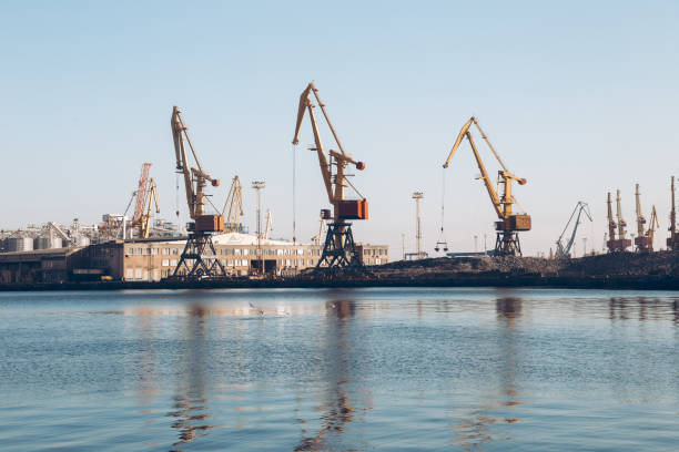 istock Container import and export logistics, cargo harbor view. Panorama of harbor cranes. Yellow loading crane. Black Sea commercial port, container loading by crane. Shipping. 1311472321
