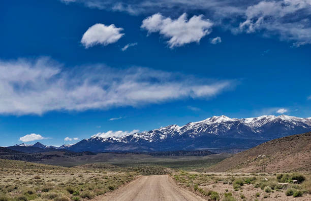 istock Unpaved road in Nevada, USA 1311473791