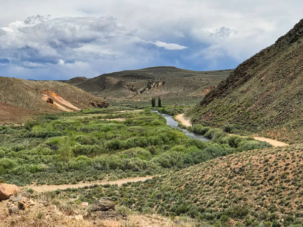 istock Unpaved road in Nevada, USA 1311473799