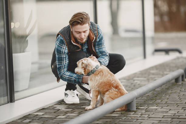 istock Man with a dog in a city 1311474711