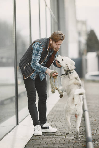 istock Man with a dog in a city 1311474752