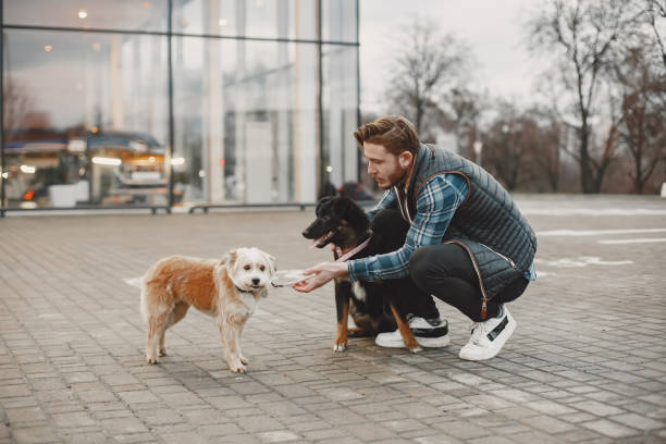 istock Man with a dogs in a city 1311474834