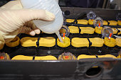 stellen-sie-das-batteriewasser-ein.jpg?b=1&s=170x170&k=20&c=VfwZe8FgK3yW5FYu48amdSNeLM_MX5ynOSHNiHzxxRE=