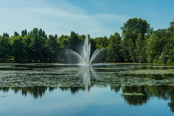 istock Fountain squirting water in a pond, in a park in Sweden, 1311477587