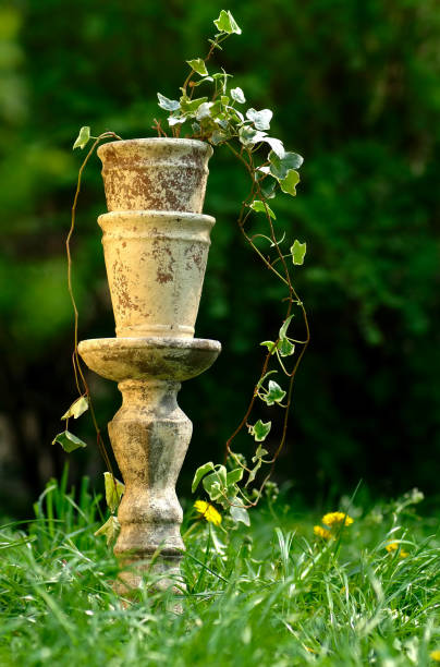 istock ceramic pot on a pedestal in the garden 1311477981