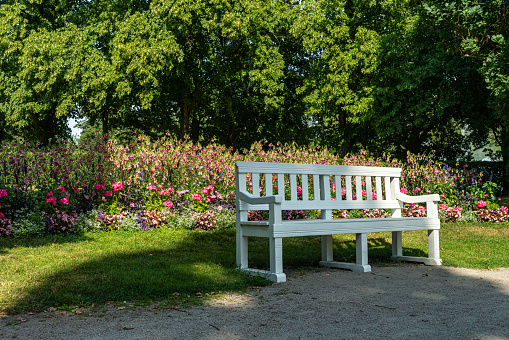 A white park bench standing in front of a large flowerbed filled with pink and purple flowers