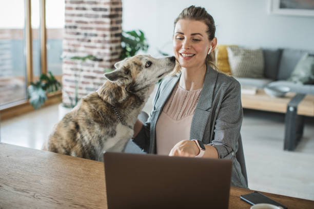 istock Women working during isolation period 1311479023