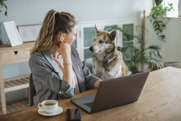 istock Women working during isolation period 1311479082