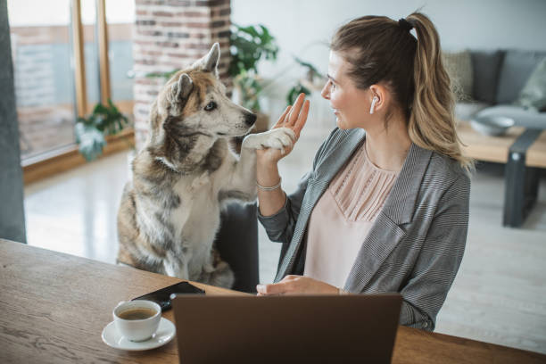 istock Women working during isolation period 1311479091