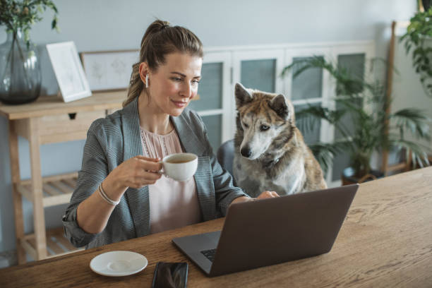 istock Women working during isolation period 1311479133