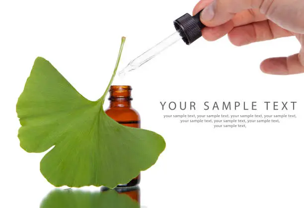 Ginkgo Biloba Tree Leaves And Pharmaceuticals. Extract, and space for text