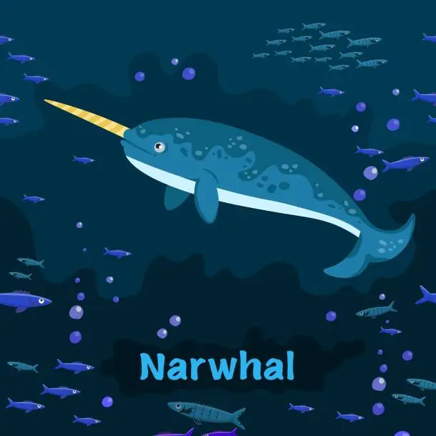 Vector illustration of Narwhal. Endangered medium-sized toothed whale. Vector illustration