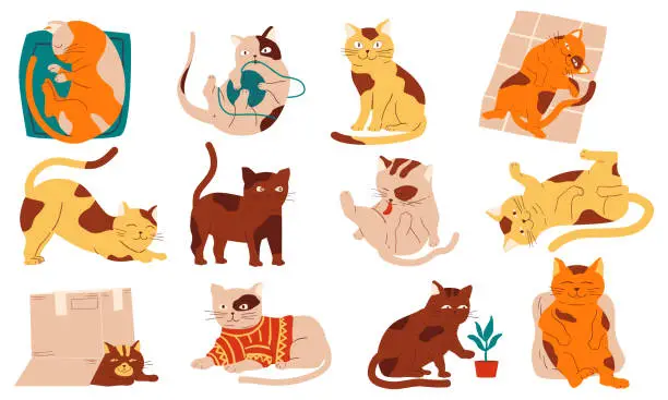 Vector illustration of Doodle cats. Funny home pets walking sleeping playing and stretching, purebred cartoon domestic animals collection. Cheerful fluffy adorable kitten in different poses vector isolated set