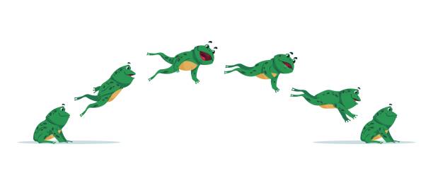 Jumping Frog Cartoon Animation Sequence With Amphibian Movement Side View  Of Aquatic Animal Jump Process Isolated Moving Green Toad Funny Croaking  Creature Vector Stages Of Leap Set Stock Illustration - Download Image