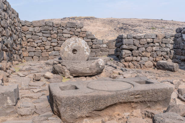 istock Olive press at Korazim National Park. 1311482655