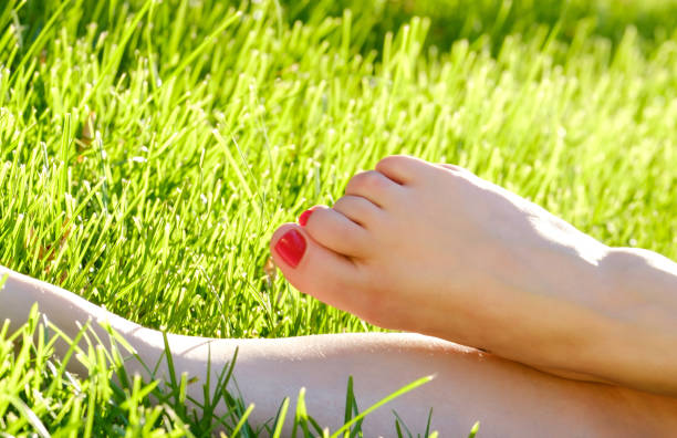 istock female feet close up on green grass 1311483509