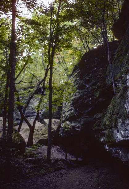 istock Giant City State Park  - Next to the Rock - 1976 1311485174