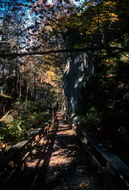 parque estadual giant city - calçadão - 2002 - slide rock state park - fotografias e filmes do acervo