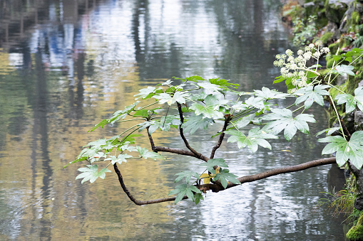 In Suzhou, China.