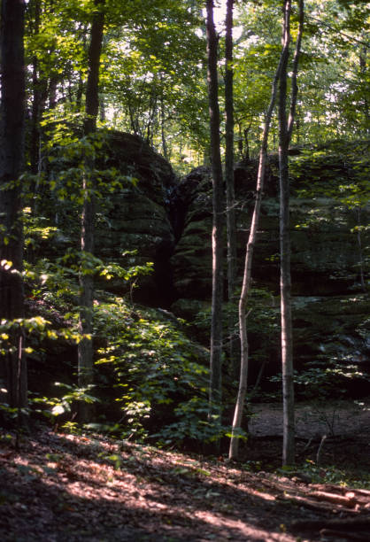 Giant City State Park  - Rock Formations in the Forest - 1976