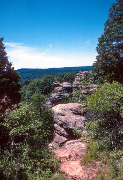 istock Garden of the Gods - Illinois - Camel Rock Framed by Trees - 2003 1311487607