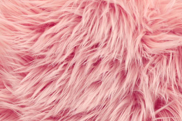 istock Fluffy long pink synthetic fake fur 1311487616