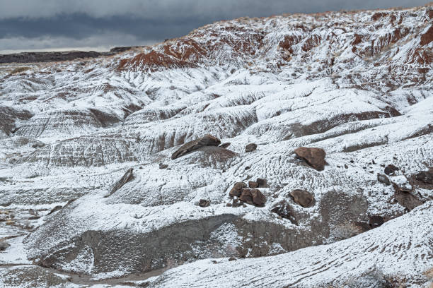 istock Winter, Petrified Forest National Park 1311490747