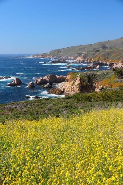 istock California spring - Big Sur 1311490753