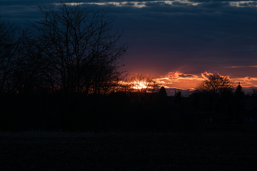 A glowing sunset through the bare trees and hedges on the edge of the field in March.