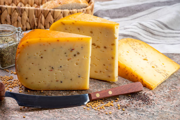 cheese collection, pieces of hard yellow dutch gouda cheese with dried caraway, mustard, cumin, fenugreek, pepper seeds - gouda imagens e fotografias de stock