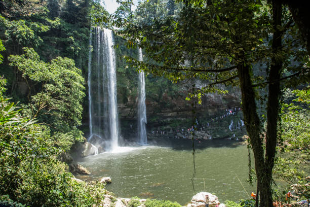 istock The Misol-Ha Waterfalls from a green tree. Chiapas, Mexico