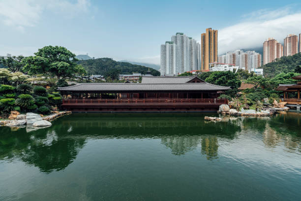 istock Lotus pond in Hong Kong 1311497730