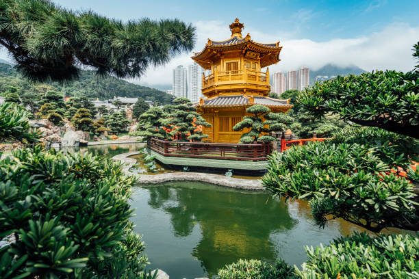 nan lian garden à hong kong - garden pavilion photos et images de collection