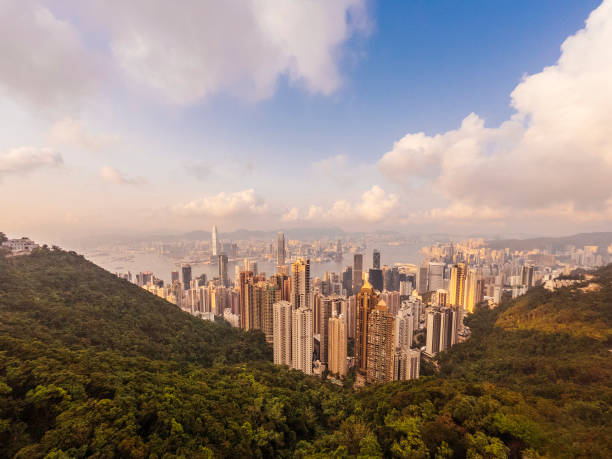istock Hong Kong Skyline at sunset from the Peak 1311497783