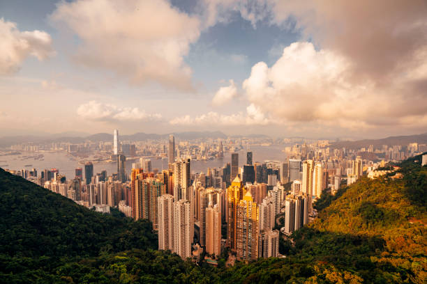 istock Hong Kong Skyline at sunset from the Peak 1311497806