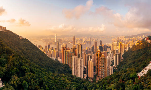 istock Hong Kong Skyline at sunset from the Peak 1311497811