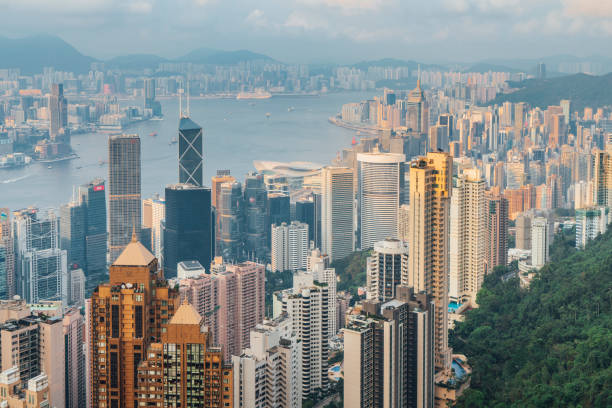 istock Hong Kong Skyline at sunset from the Peak 1311497817