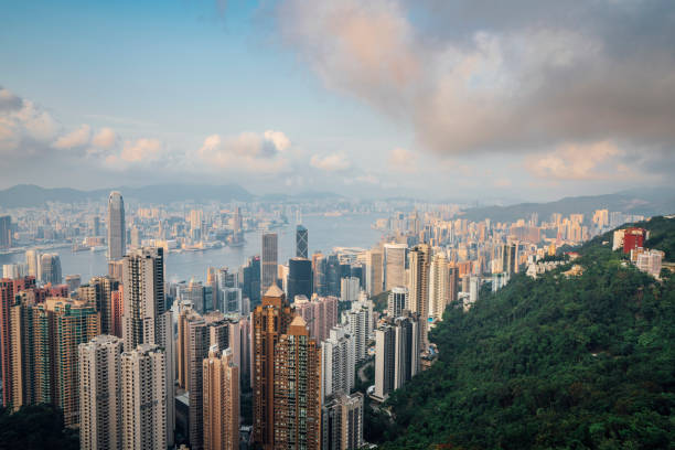 istock Hong Kong Skyline at sunset from the Peak 1311497832