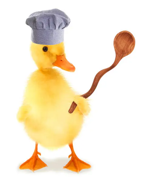 Photo of Cute cool duckling chef duck cook with wooden cooking ladle funny conceptual image