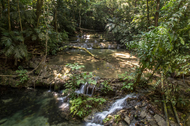 istock A few waterfalls before reaching the Palenque temple. Yucatan, Mexico 1311500302