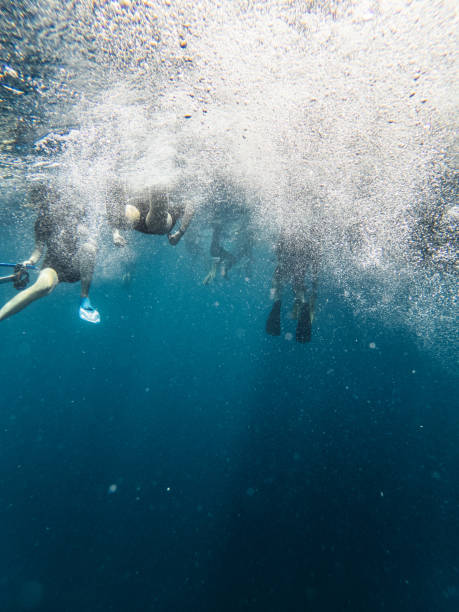 istock Many snorkelers together in the ocean - Underwater view 1311500821