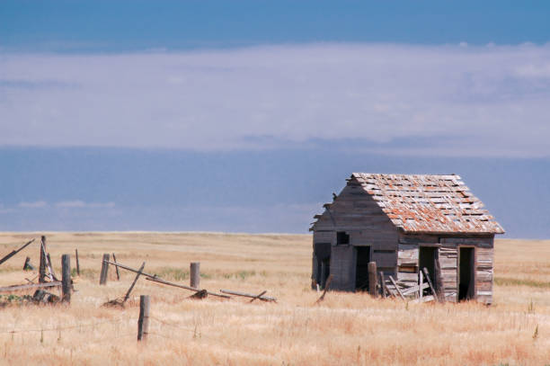 istock Deserted Cabin, Weld County, Colorado 1311501592