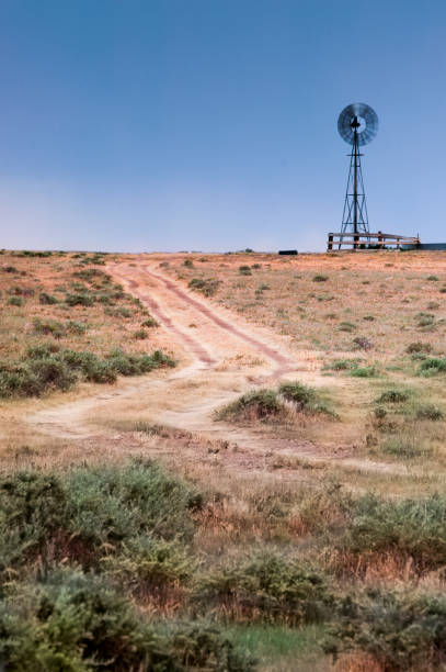 istock Deserted windmill, Weld County, Colorado 1311501635