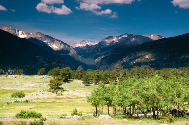 istock Moraine Park, Rocky Mountain National Park 1311501650