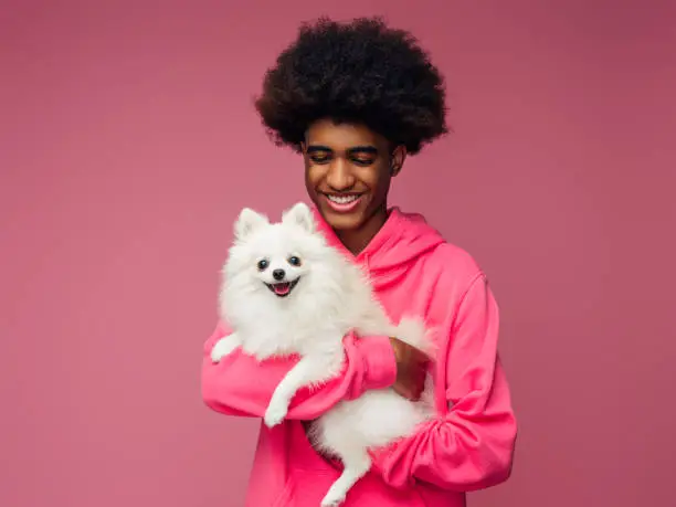 Photo of Studio portrait of smiling young african american man  holding little dog