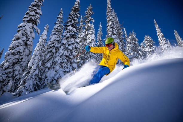 ski poudrière - skiing powder snow canada winter photos et images de collection